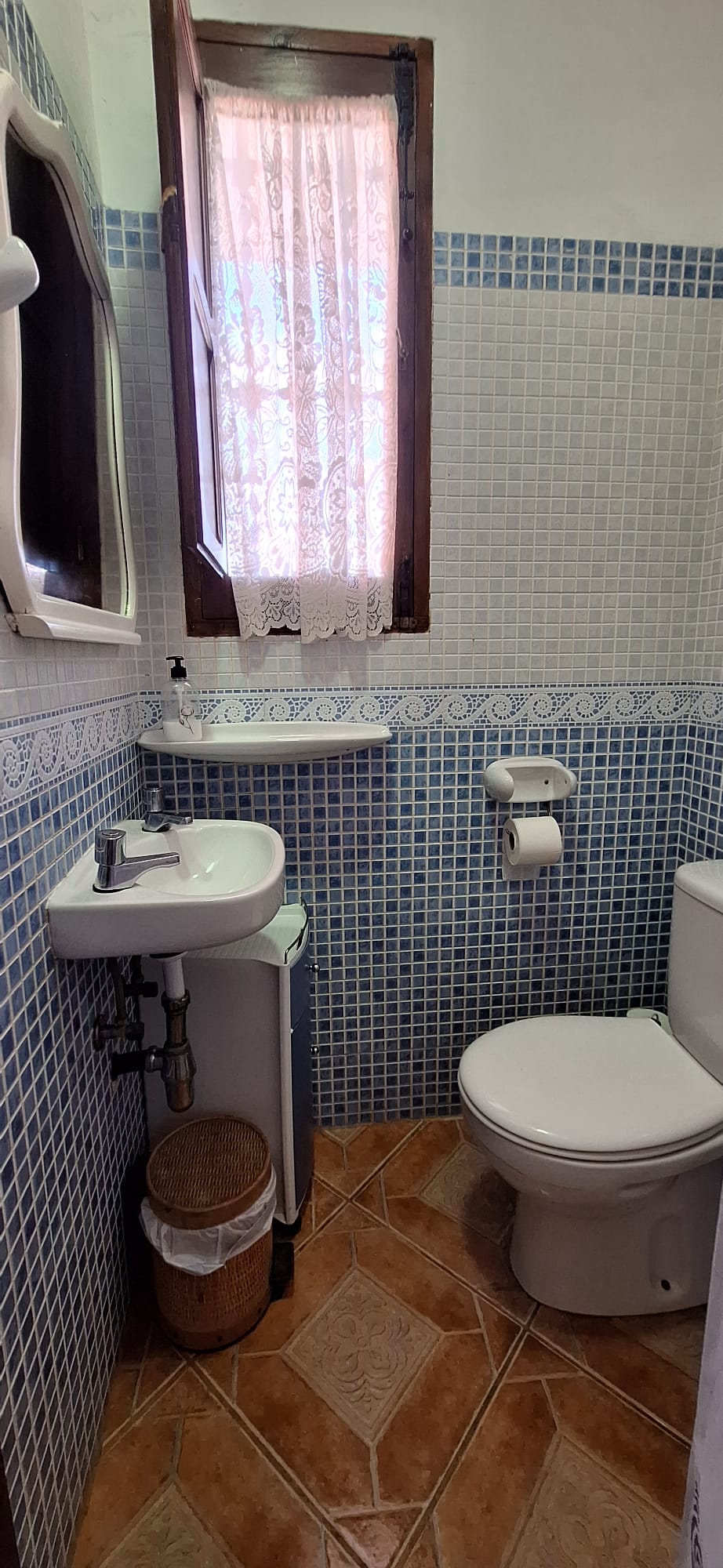 Baño planta baja